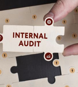 Auditoría interna
